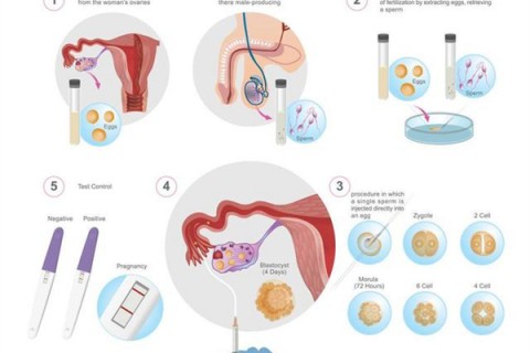 http://kunming.dacou.net/post/202.html|昆明人工试管